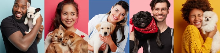 People smiling and holding dogs of different breeds